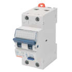 GEWISS - GEWGW95336 INTERRUTTORE MAGNETOTERMICO DIFFERENZIALE COMPATTO - MDC 100 - 2P CURVA B 10A TIPO A Idn=0,3A - 2 MODULI