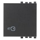 VIMAR SPA - VIW19022.P TASTO 2M SIMBOLO CHIAVE GRIGIO