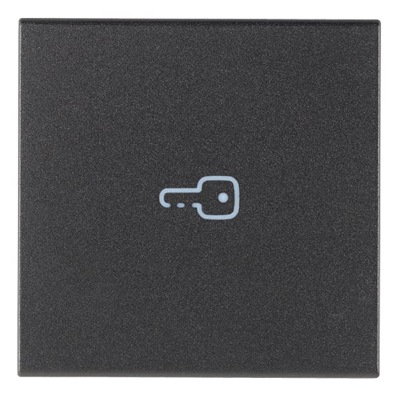 VIMAR SPA - VIW19132.P TASTO 2M SIMBOLO CHIAVE ASSIALE GRIGIO