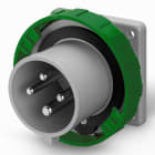 SCAME PARRE SPA - SCA248.16931 SPINA DA INCASSO 16A 2P+T 10H >50V