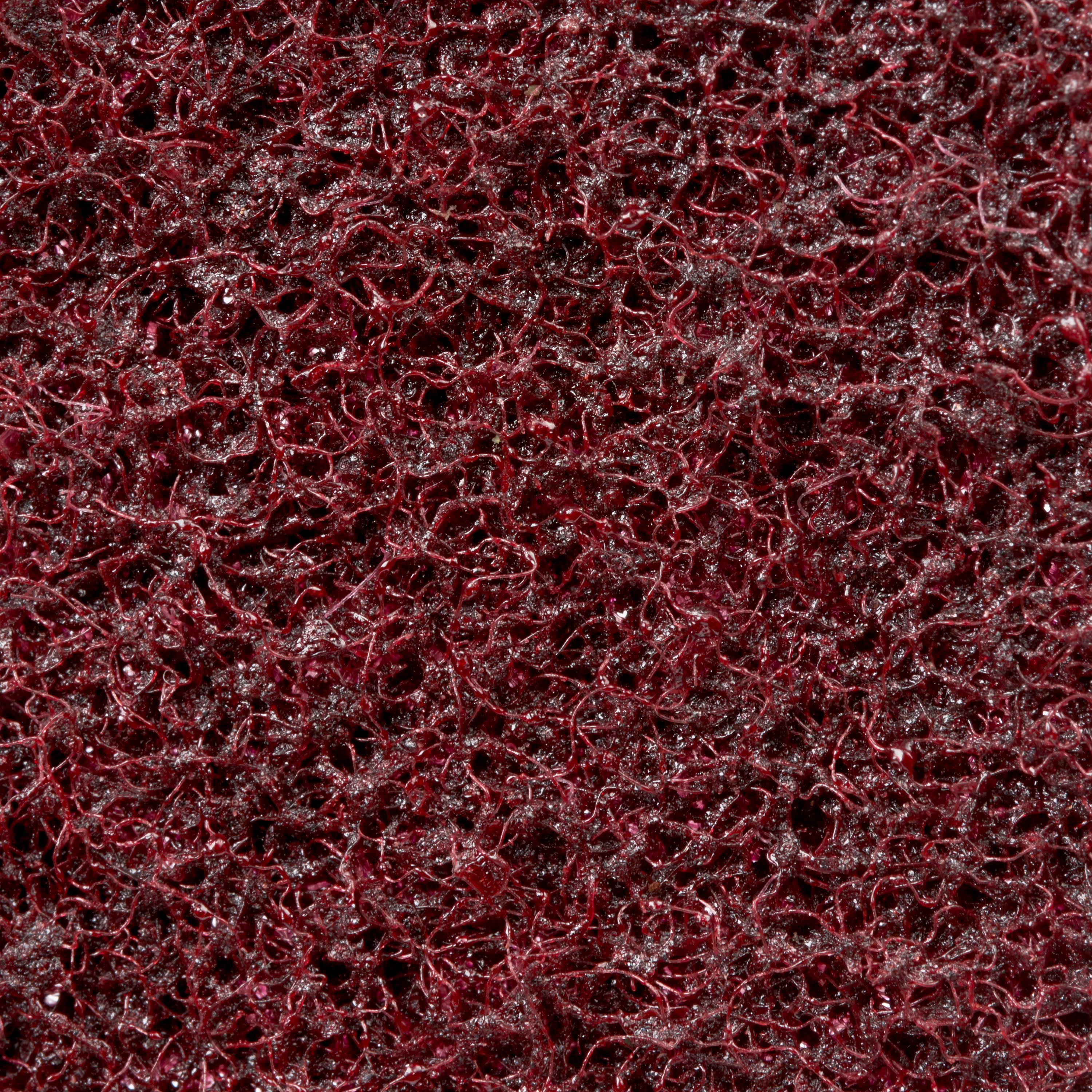 3M ITALIA - 3MF7100233806 DISCO PER IL CONDIZIONAMENTO DELLE SUPER