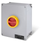 SCAME PARRE SPA - SCA590.HEM12503 INT. DI MANOVRA/SEZ. 125A 3P IP65