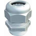 OBO BETTERMANN - OBO2022866 V-TEC VM20 LGR PRESSACAVO