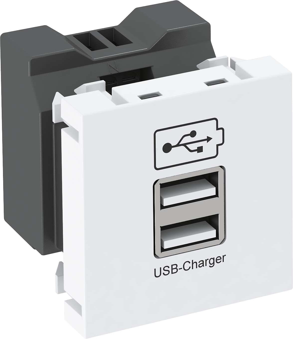 OBO BETTERMANN - OBO6105300 MTG-2UC2.1 RW1 USB CHARGER