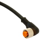 DATASENSING SRL - DTGCD12M/0H-050C5 CON M12 F RAD 5P PUR 5M