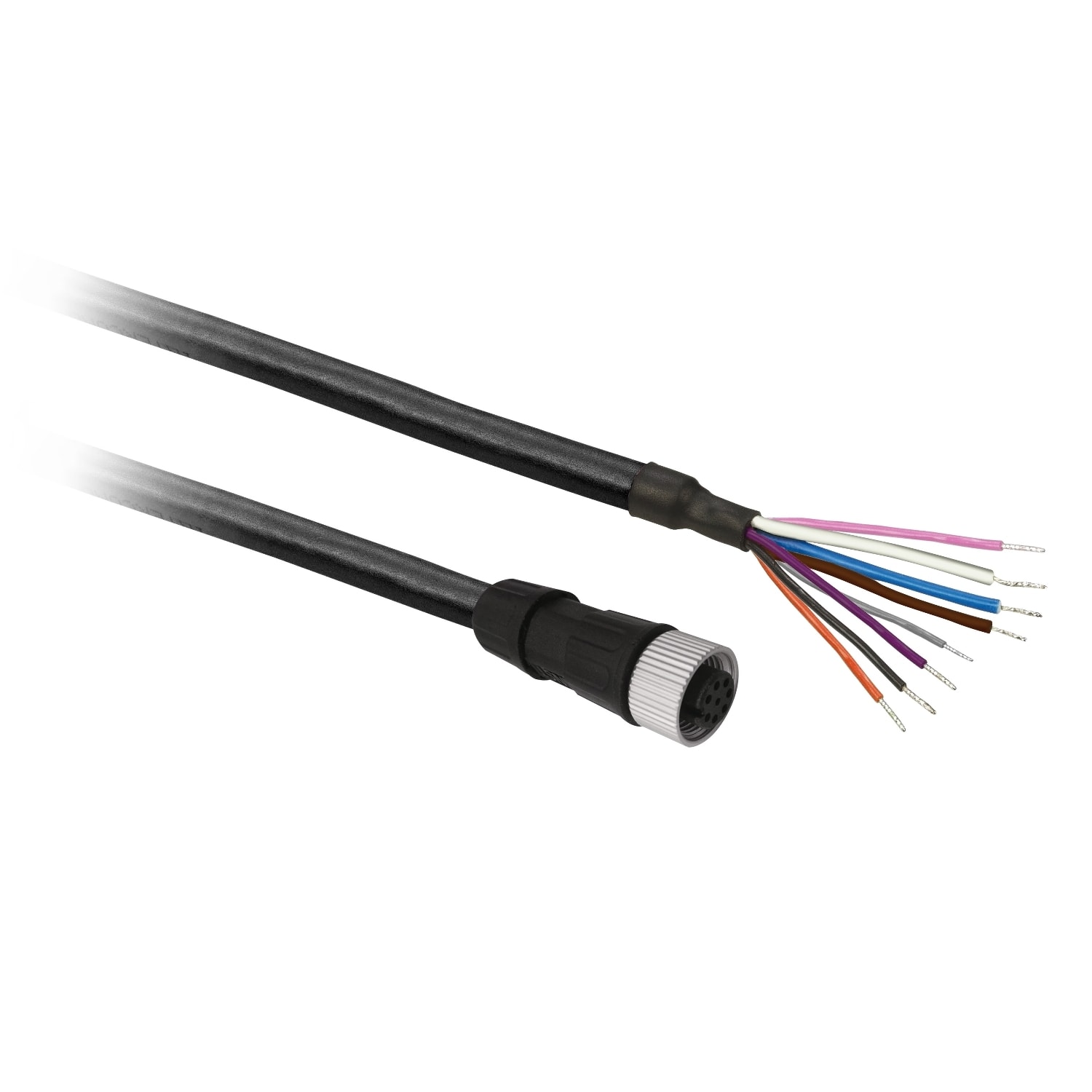 YAGEO TMSS ITALY SRL - TSIXZCP29P12L2 PROLUNG FEM M12 2M