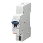 GEWISS - GEWGW96011 SGANC.LANCIO 12/48V MTC/MT/MTHP/MDC 1M