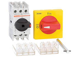 LOVATO - LOVGA025AK30063 SEZ. 3P 25A+ASTA 300MM+MANIG.+COPRITER.