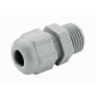 LEGRAND - LEG84317R PSP-PRESSACAVO PLASTICO PG36 D=22-32 R70