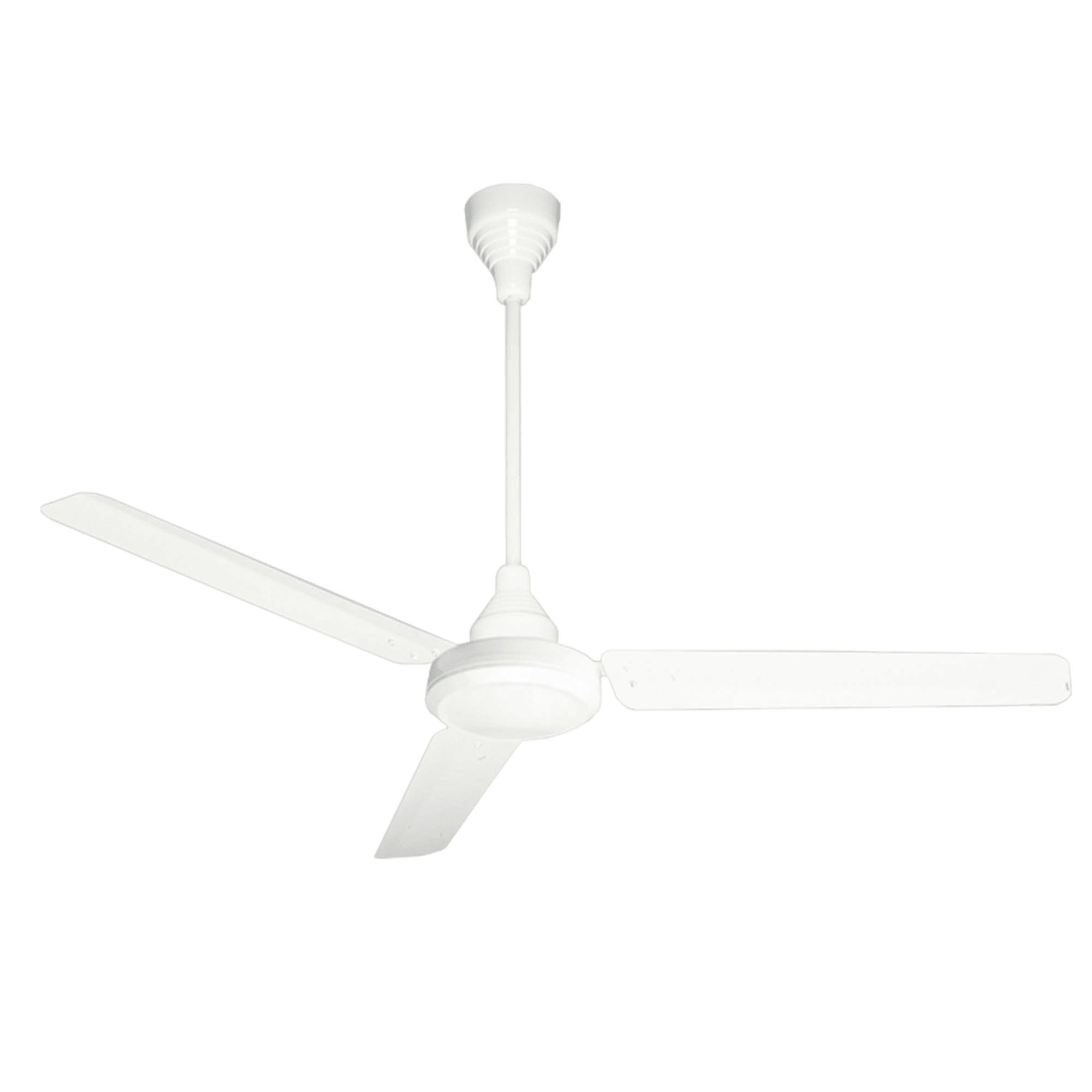 EP (O.ERRE) - OER0024100 OASIS R 120