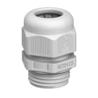 OBO BETTERMANN - OBO2022855 V-TEC VM50 SGR PRESSACAVO