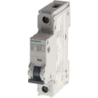SIEMENS - SIE5SJ41306HG40 INT. MT UL489 1P B 30A 15KA 240VCA