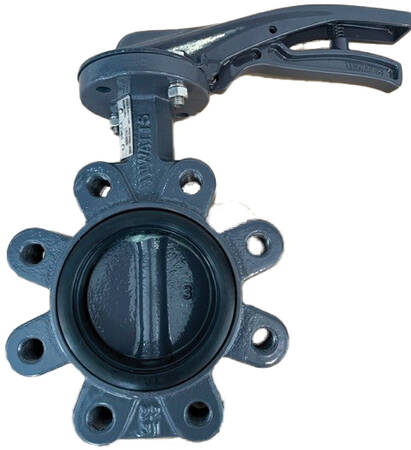 WATTS INDUSTRIES ITA - WAT149G34933P XYLIA 2 - DN50 - LUG LENTE GGG40/LE