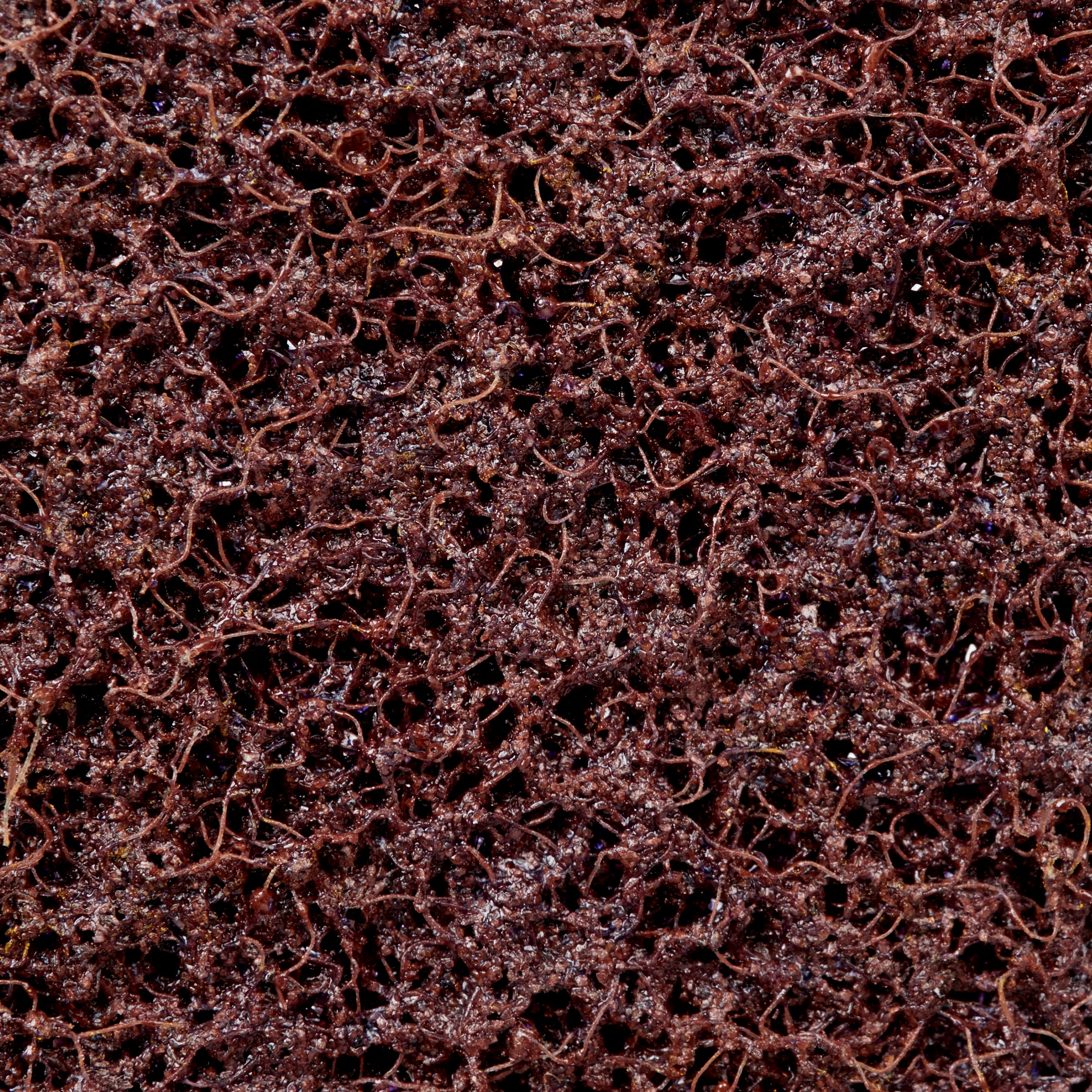 3M ITALIA - 3MF7100234048 DISCO PER IL CONDIZIONAMENTO DELLE SUPER